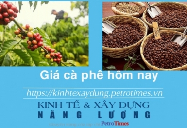 Giá cà phê hôm nay 5/1: Thị trường trong nước tiếp tục giảm
