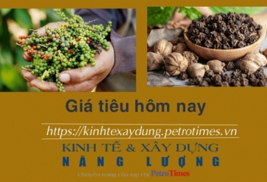 Giá tiêu hôm nay 5/1: Tăng phiên thứ ba liên tiếp