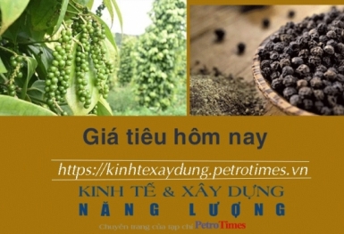 Giá tiêu hôm nay 7/1: Cao nhất ở mức 83.000 đồng/kg