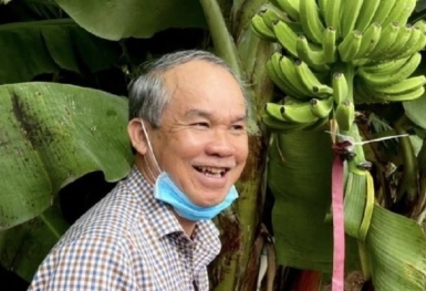 Bán heo ăn chuối 'bầu Đức' lãi đậm năm 2023