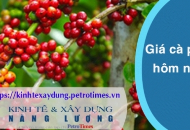 Giá cà phê hôm nay 19/2: Duy trì mức cao