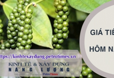 Giá tiêu hôm nay 19/2: Nối dài chuỗi tăng