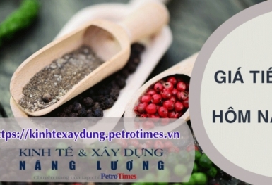 Giá tiêu hôm nay 29/2: Tiếp tục tăng giá