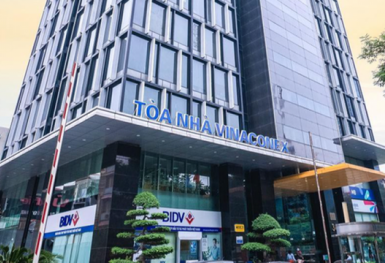 Tổng Công ty Vinaconex đạt lợi nhuận trước thuế 555 tỷ đồng