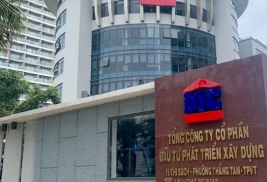 DIC Corp huy động 6.000 tỷ đồng trong năm 2024