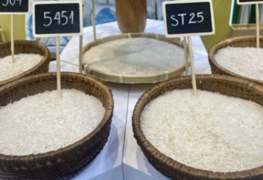 Gạo Việt Nam xuất khẩu nhiều nhất vào thị trường Singapore