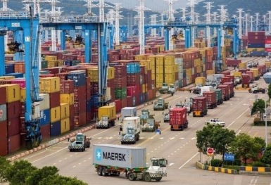 Cảnh báo lừa đảo khi giao dịch xuất nhập khẩu với đối tác tại UAE