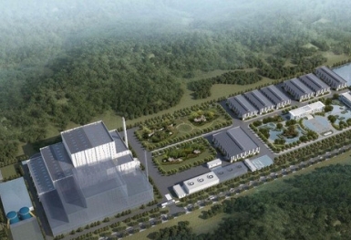 Bamboo Capital (BCG) phát hành thành công 99,99% tổng số cổ phần chào bán