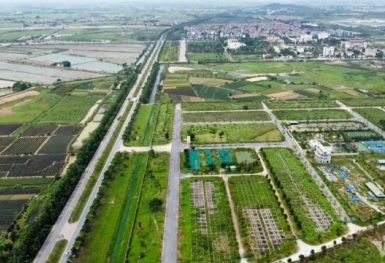 Đất nền ven Hà Nội tấp nập lên sàn đấu giá, khởi điểm từ 14,1 triệu đồng/m2