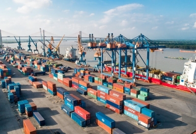 Cảng Đình Vũ dự kiến chi 180 tỷ đồng trả cổ tức, cổ đông nhận tin vui