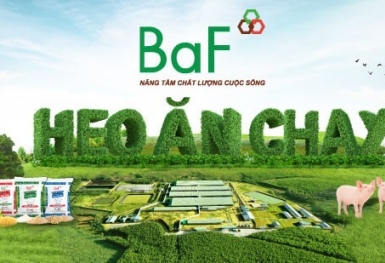 Công ty cổ phần Nông nghiệp BAF bị xử phạt hơn 240 triệu đồng