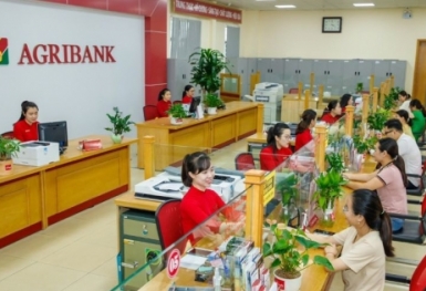 Agribank phát hành 10.000 tỷ đồng trái phiếu ra công chúng năm 2024