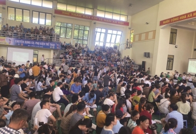 Sở Tài nguyên, Công an Hà Nội xác minh nhóm đối tượng 'kích sóng' đất nền ngoại thành qua các phiên đấu giá