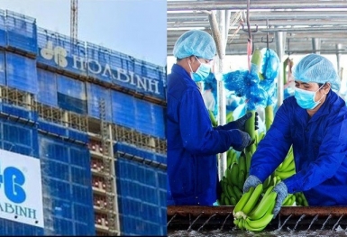 Từ ngày 18/9, cổ phiếu HNG và HBC bắt đầu giao dịch trở lại trên UPCoM
