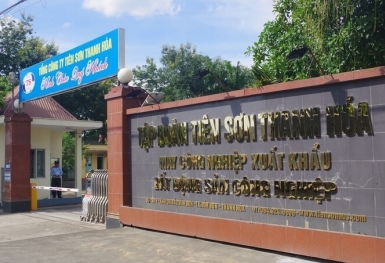 Tập Đoàn Tiên Sơn Thanh Hóa (AAT) bị xử phạt 300 triệu đồng