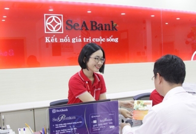 Con trai Phó Chủ tịch SeABank thoái bớt vốn tại công ty của mẹ