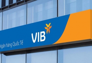 Ngân hàng VIB: Lợi nhuận quý 3/2024 giảm mạnh, tín dụng tăng 12%