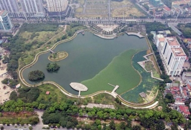 “Cha chung” đã có người khóc