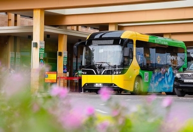 Chính thức khai trương dịch vụ vận tải xanh Sun Paradise Land Cát Bà