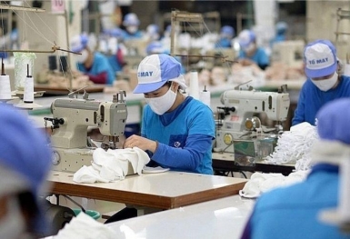 Doanh nghiệp vừa và nhỏ Việt Nam đã “đọc vị” EVFTA đến đâu?
