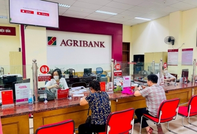 10 thành tựu ấn tượng của Agribank năm 2024