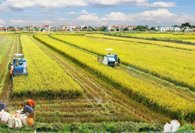 Điểm tin xây dựng - bất động sản ngày 5/2: Đề xuất miễn, giảm tiền thuê đất nông nghiệp để thúc đẩy đầu tư nông...