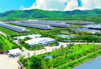 Thông điệp đầy cảm hứng về hành trình 'vượt bão' và tầm nhìn chiến lược của Vinamilk