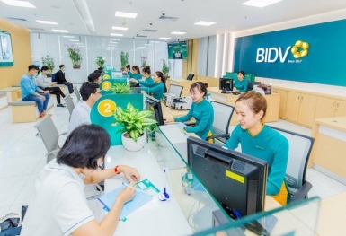 Những ngân hàng nào tham gia gói tín dụng 100 nghìn tỷ đồng cho nông, lâm nghiệp và thủy sản?