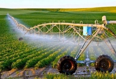 ADB nâng tổng hỗ trợ an ninh lương thực khu vực Châu Á - Thái Bình Dương lên 40 tỷ USD đến năm 2030