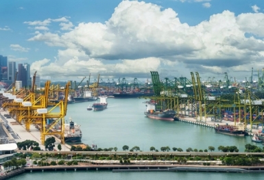 Từ cảng biển đến đô thị logistics quốc tế: Thâm Quyến, Singapore và diện mạo Hải Phòng