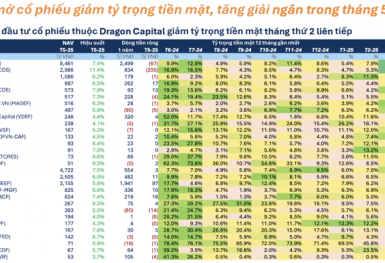 Thị trường tháng 5/2025: Quỹ đầu tư nới lỏng “phanh” - Niềm tin đang trở lại?