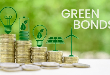 Trái phiếu xanh: Công cụ tài chính quan trọng để Việt Nam đạt mục tiêu Net Zero