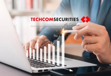 Công ty chứng khoán của Techcombank báo lãi kỷ lục, chuẩn bị IPO hơn 230 triệu cổ phần