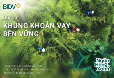 BIDV vào top 20 cổ phiếu phát triển bền vững nhất Việt Nam  lần thứ II liên tiếp