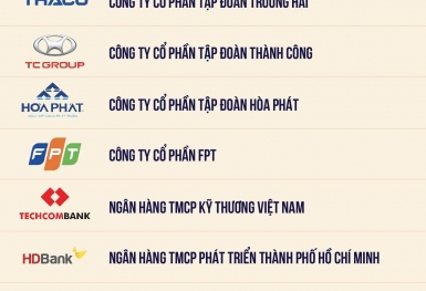 Vingroup, Thaco, TC Group, Hòa Phát, FPT dẫn đầu doanh nghiệp tư nhân nộp ngân sách 2024