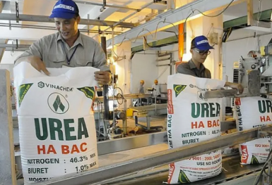 Giá urê tăng mạnh, doanh nghiệp phân bón hưởng lợi từ xu hướng thị trường