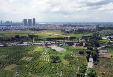 Điểm tin xây dựng - bất động sản tuần qua: Thêm 3 thủ tục mới về đất đai làm tại cấp xã