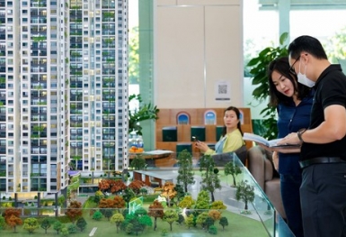 Hơn 1.260 doanh nghiệp bất động sản rút lui: Cuộc sàng lọc cần thiết để thị trường bền vững hơn