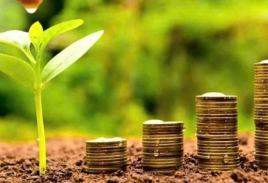 13 doanh nghiệp trả cổ tức tiền mặt, mức cao nhất lên tới 80%