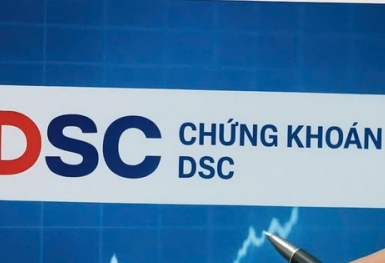 Chứng khoán DSC bị HoSE nhắc nhở vì chậm công bố thông tin