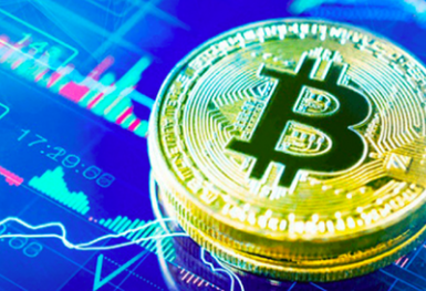 Thủ đoạn lừa đầu tư tiền mã hóa khiến Hơn 8.000 nạn nhân sập bẫy