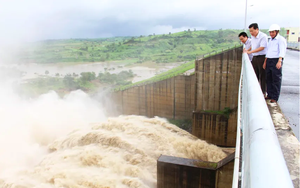 Thuỷ điện Sông Ba Hạ bất ngờ có loạt thay đổi về nhân sự