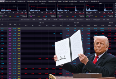 Cổ phiếu ngành gỗ đồng loạt giảm kịch sàn sau tin ông Trump công bố thuế đối ứng 46% với Việt Nam