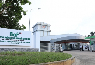 Nông nghiệp BAF Việt Nam lãi gấp 5 lần trong quý II, sản lượng heo 6 tháng đạt 330.000 con