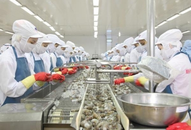 Lợi nhuận 6 tháng đầu năm tăng gấp 4 lần, “Vua tôm” Minh Phú liên tiếp lập công ty con tại Canada và Úc