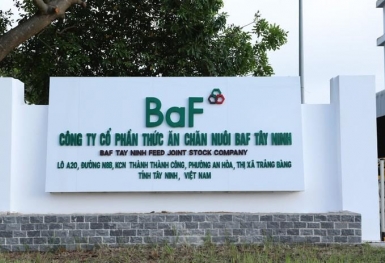 Thị trường trái phiếu đón thêm thương vụ nghìn tỷ từ BAF Việt Nam (BAF)