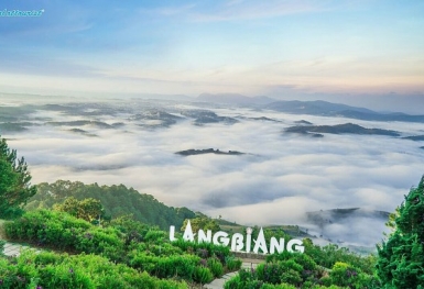 Tin doanh nghiệp nổi bật (14/11): SCIC đấu giá cổ phần tại Dalattourist