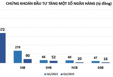 Mua bán chứng khoán đầu tư: 'Người bội thu, kẻ khóc ròng'