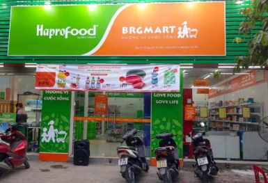 Hapro liên tục mở rộng hoạt động kinh doanh, nói không với vay nợ qua kênh trái phiếu