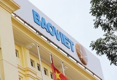 Hé lộ kết quả kinh doanh 6 tháng đầu năm tại Tập đoàn Bảo Việt